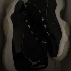 Air Jordan 11s 