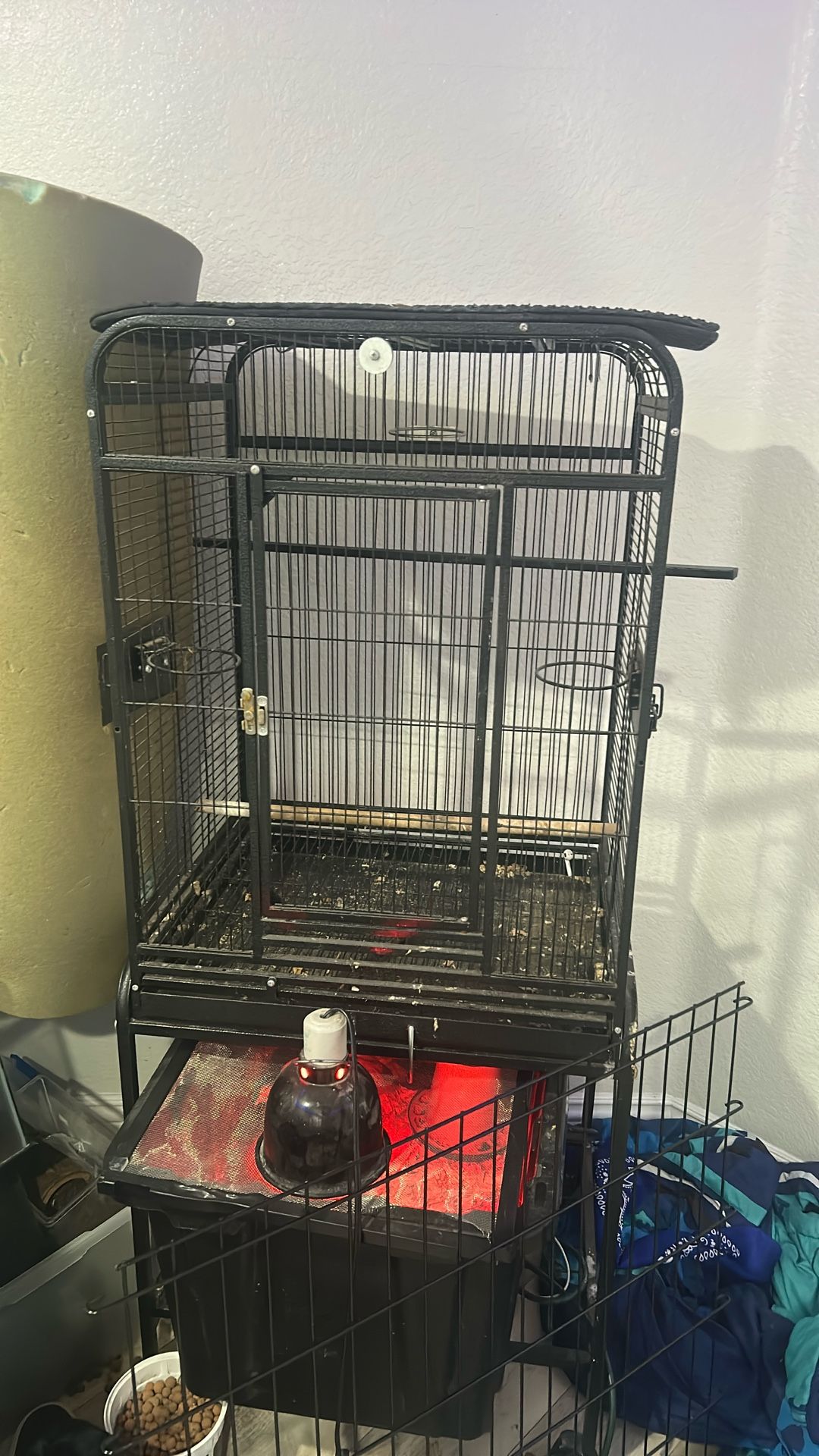Bird Cage