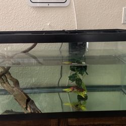 Brand New 40 Gallon Fish Tank