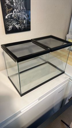 10 gallon glass tank/terrarium (near new)