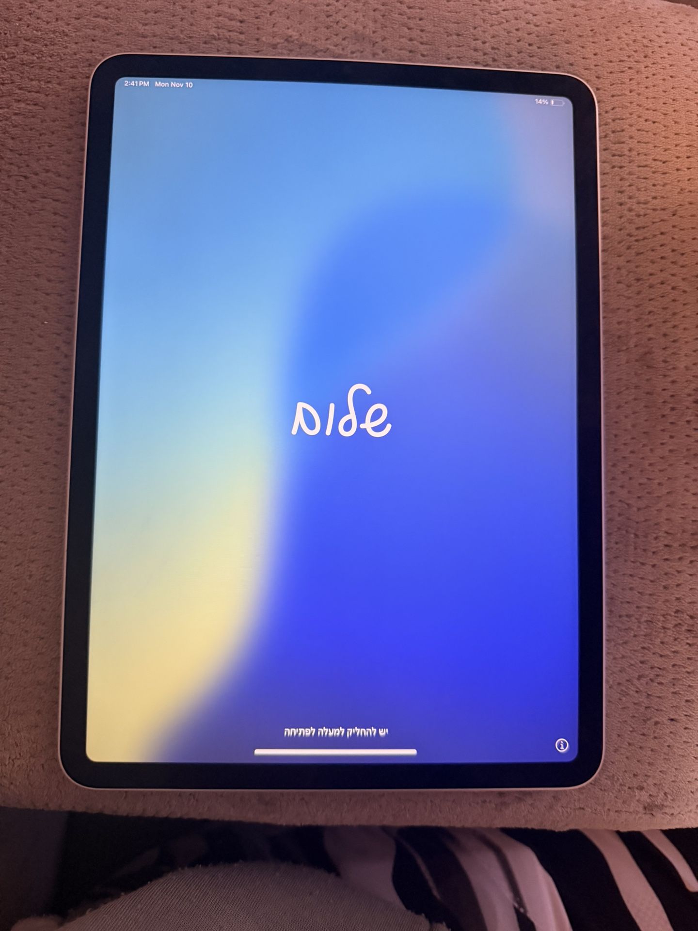 iPad Pro 11inch (512 GB)