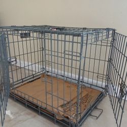Dog Cage