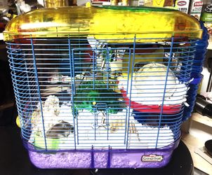 Small Hamster With A Two Level Habitat