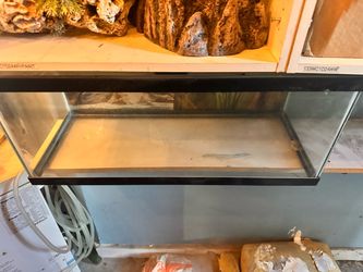 60 gallon tank