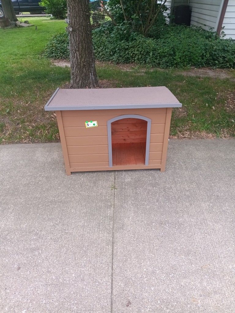 Dog House