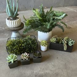 Assorted artificial Plants