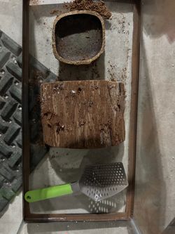 Reptile enclosure with bowl, hide and scoop