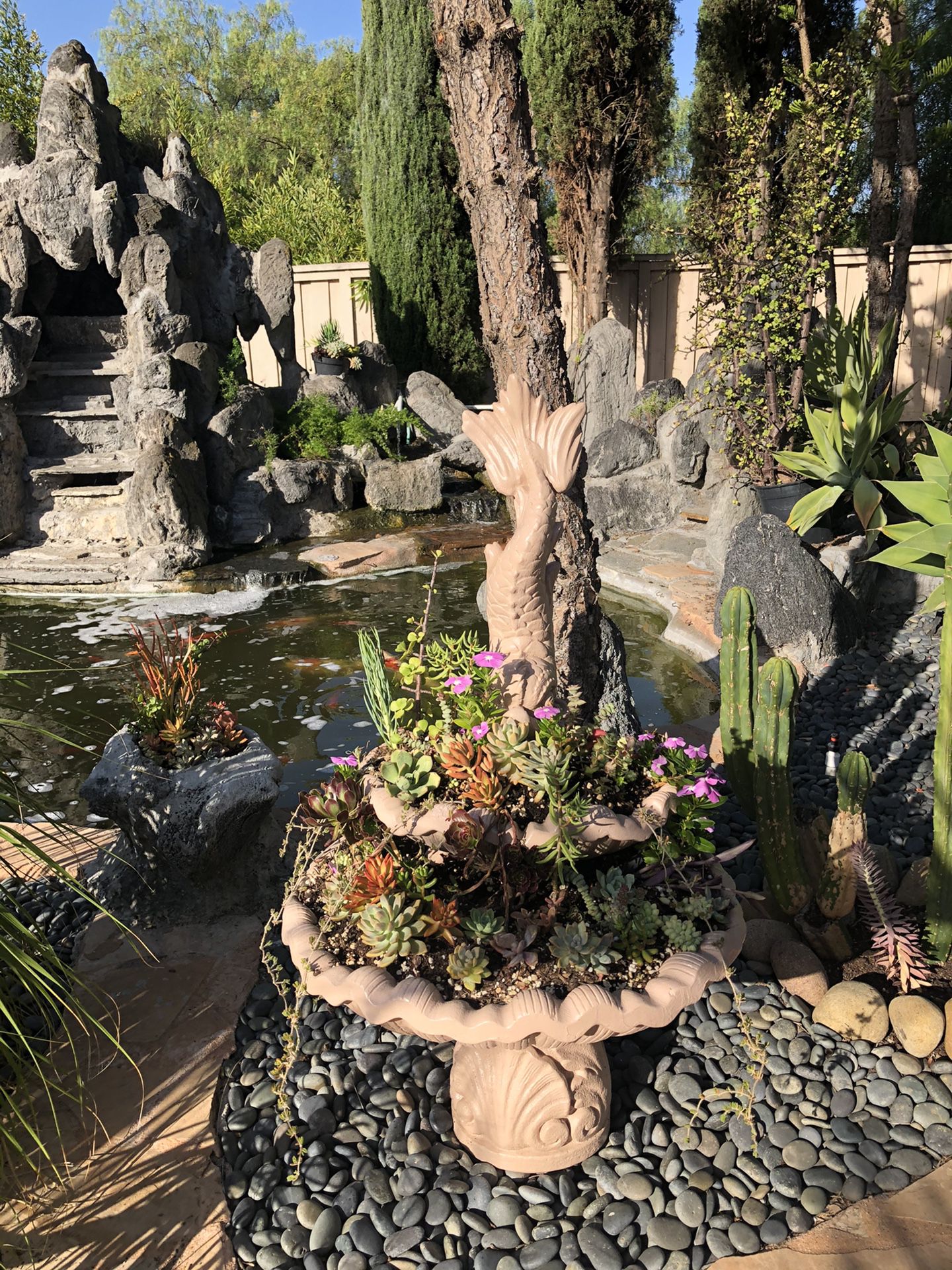 Fish succulents fountain