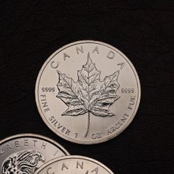 Canada 1oz Silver Maple Leafs .9999
