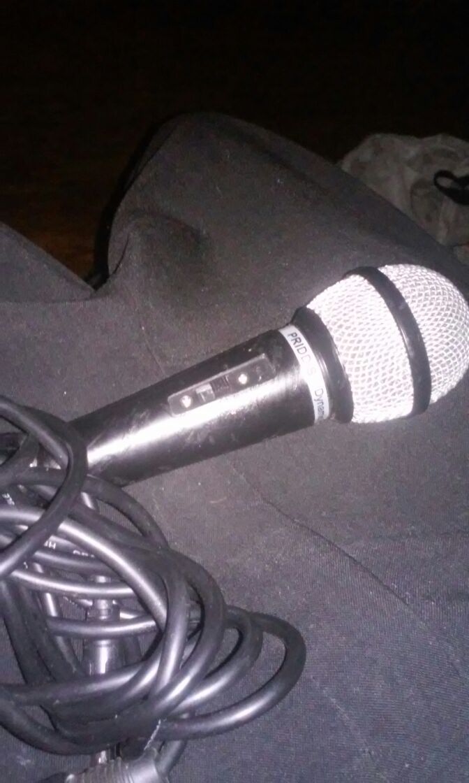 Priddis low noise karaoke dvd mic
