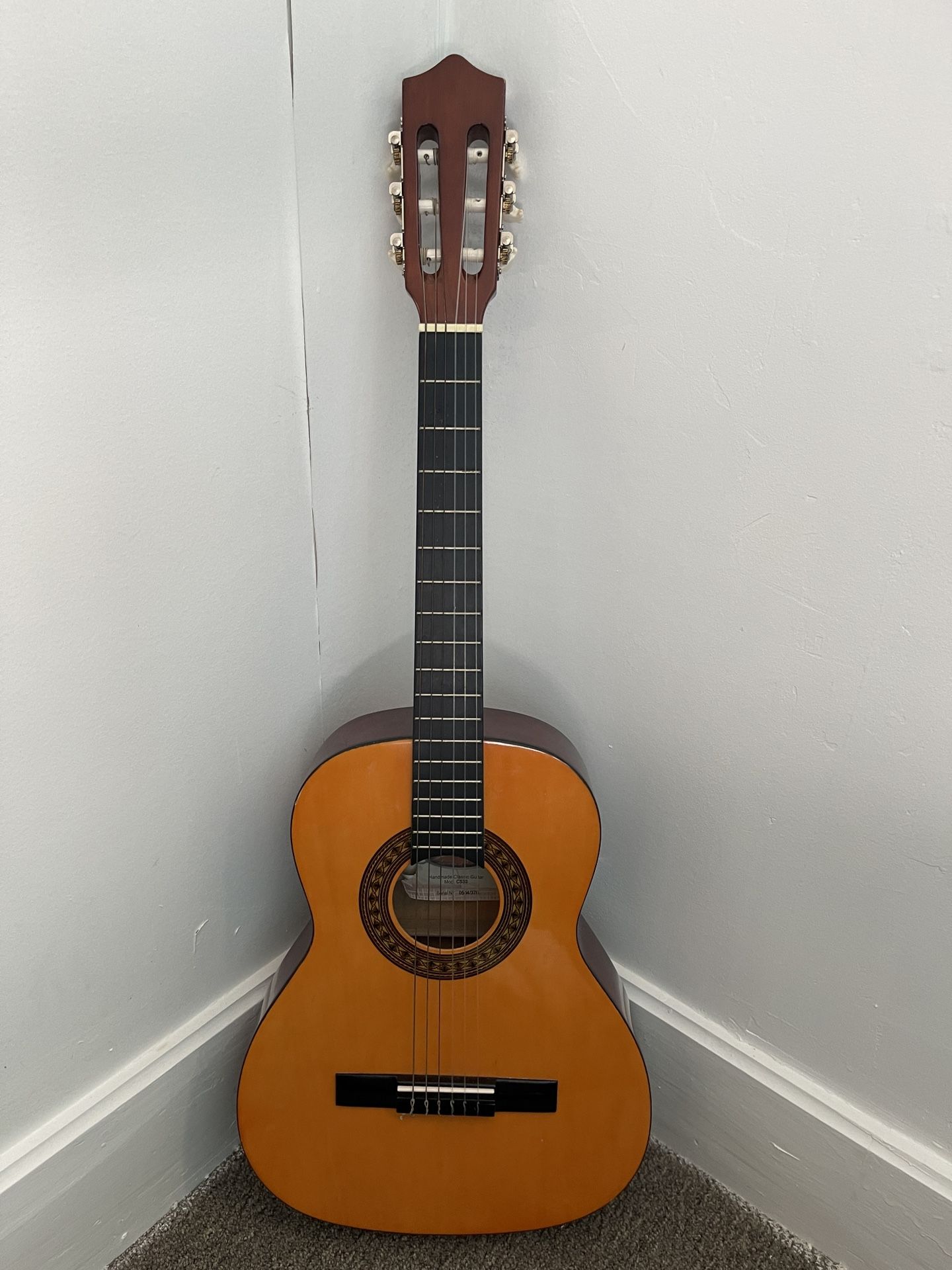 Guitar