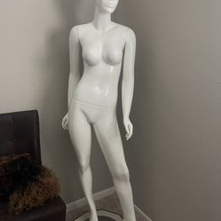 Mannequin 