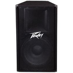 Peavey PV115 PA Speaker