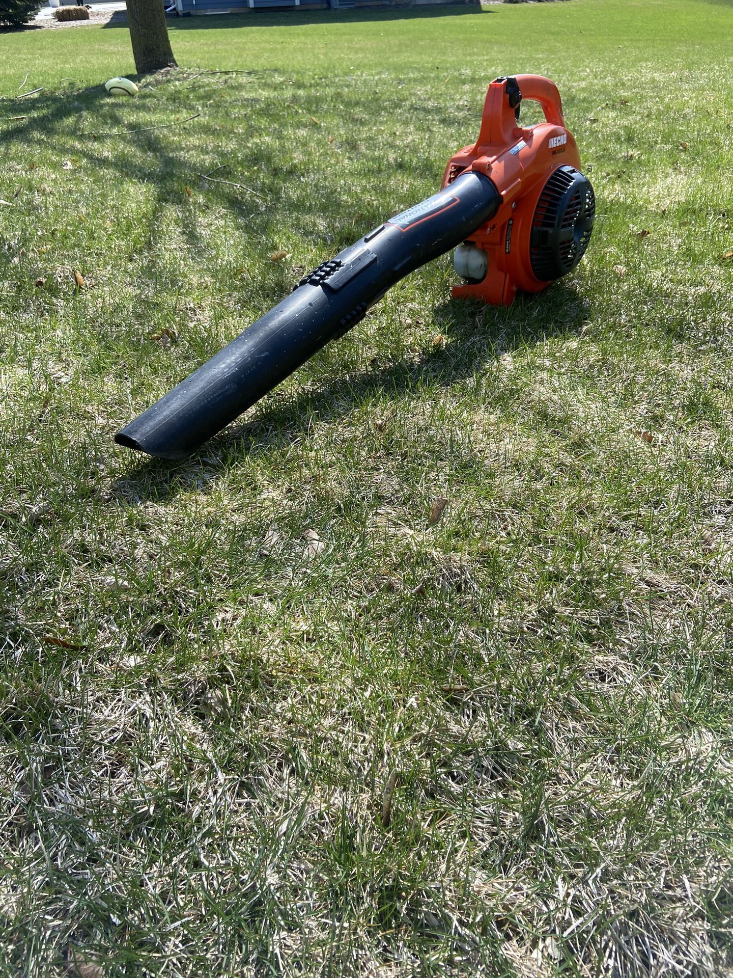 Echo Leaf Blower