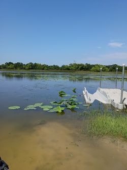 Hog hunting and fishing