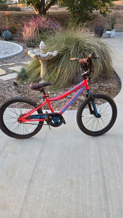 Shwinn kids bike