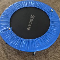 Mini Trampoline 