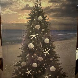 Beachcombers Coastal Life Christmas Tree on The Beach with Sand Dollars and Star
