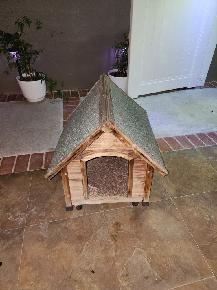 Dog House