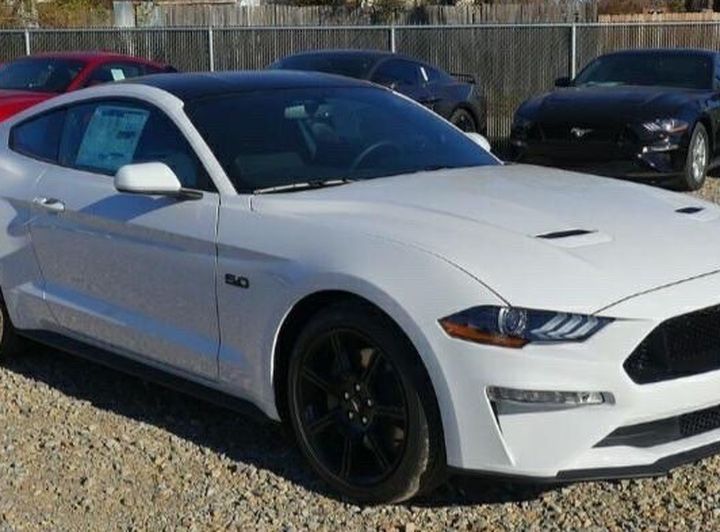 Need Help ASAP Mustang