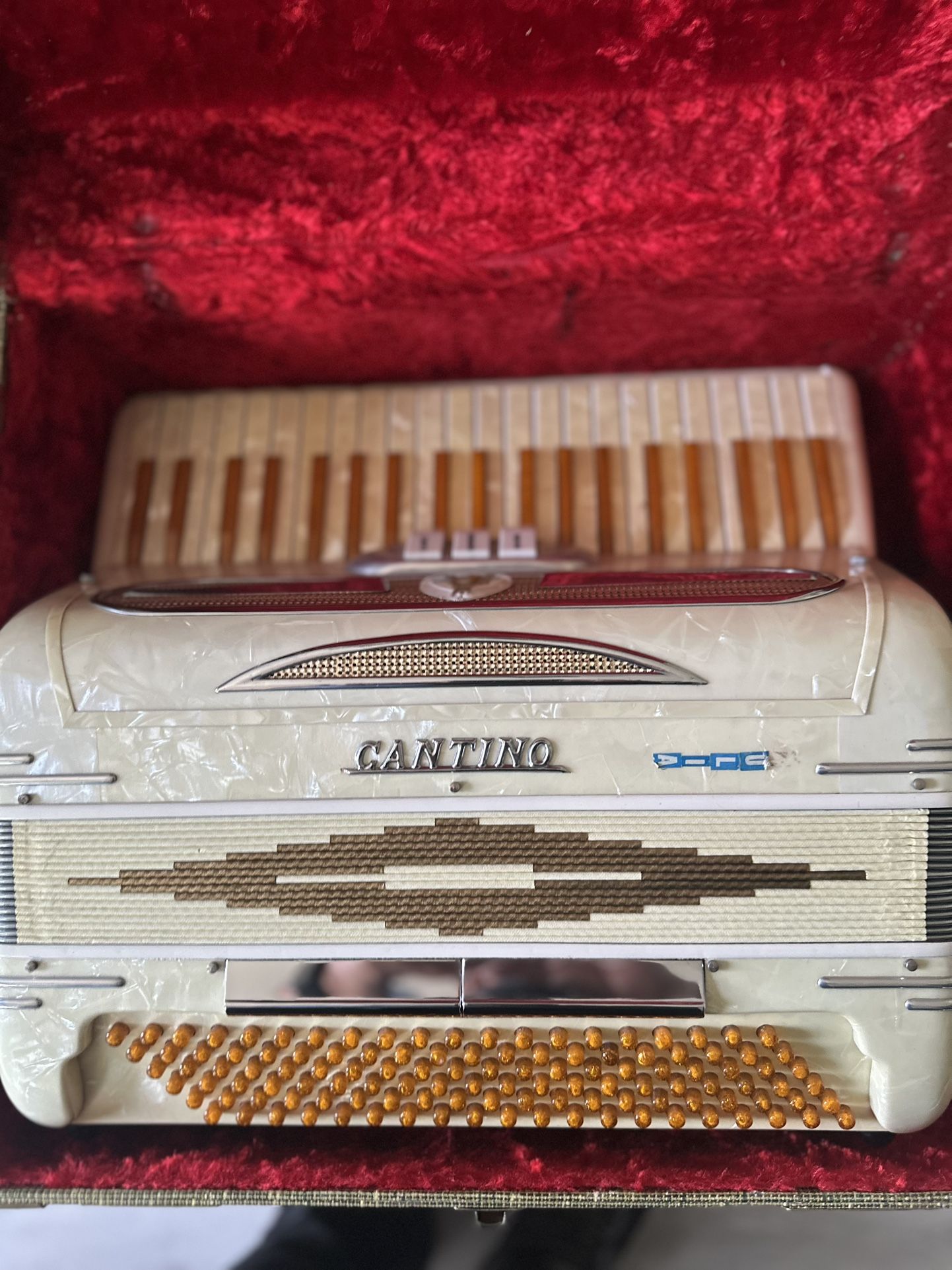 Cantino Accordion 