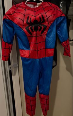 Spiderman costume