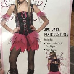 Dark Pixie costume Dress( Does Not Include Wings)