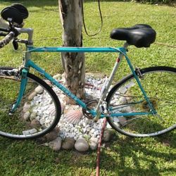 Elite Centurion Bike$165