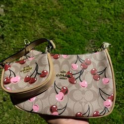 light brown coach bag cherry style