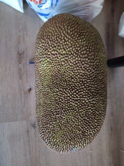 Whole jackfruit 2 pieces