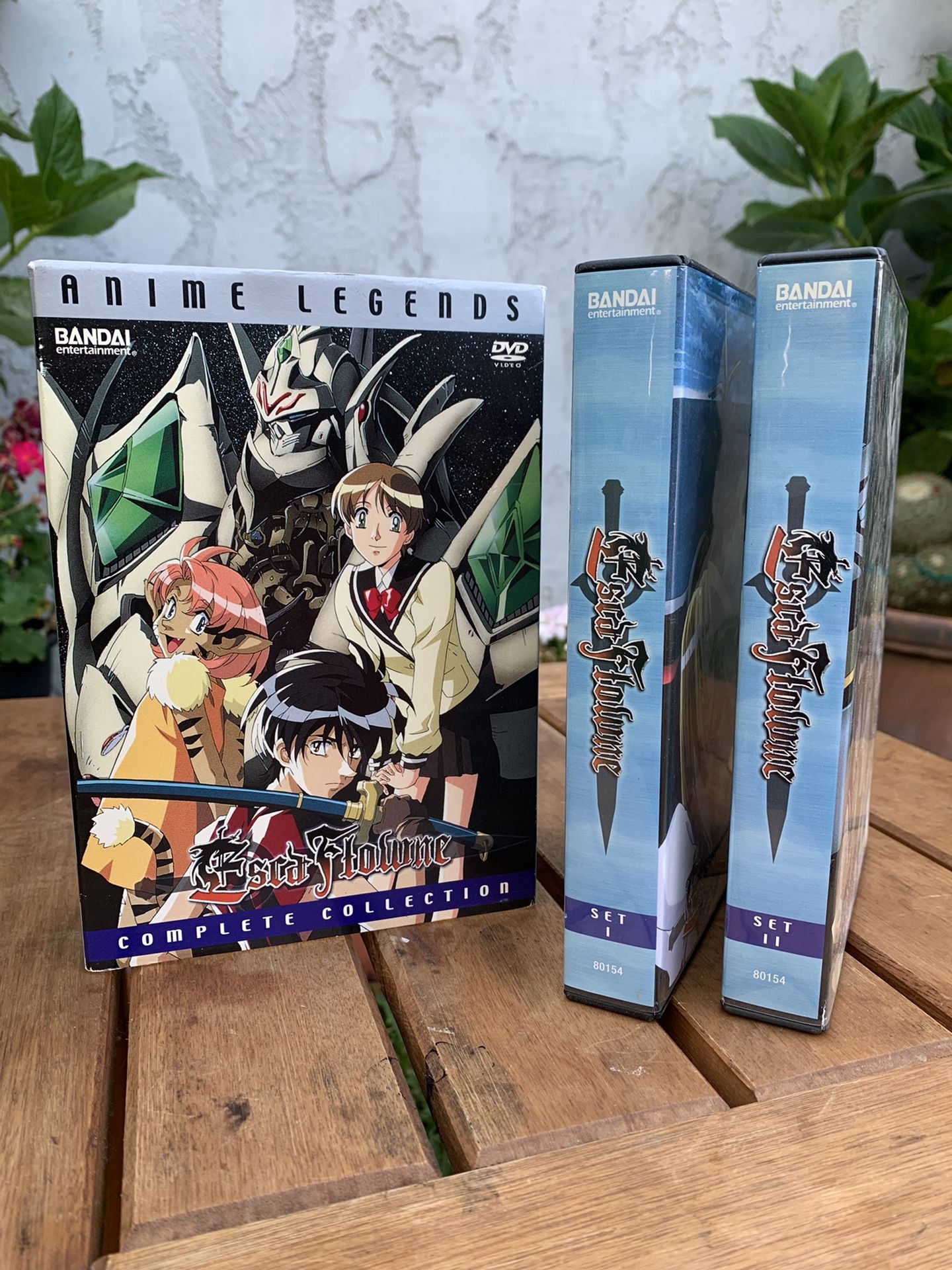 Anime - Escaflowne DVD 8 Disc Set