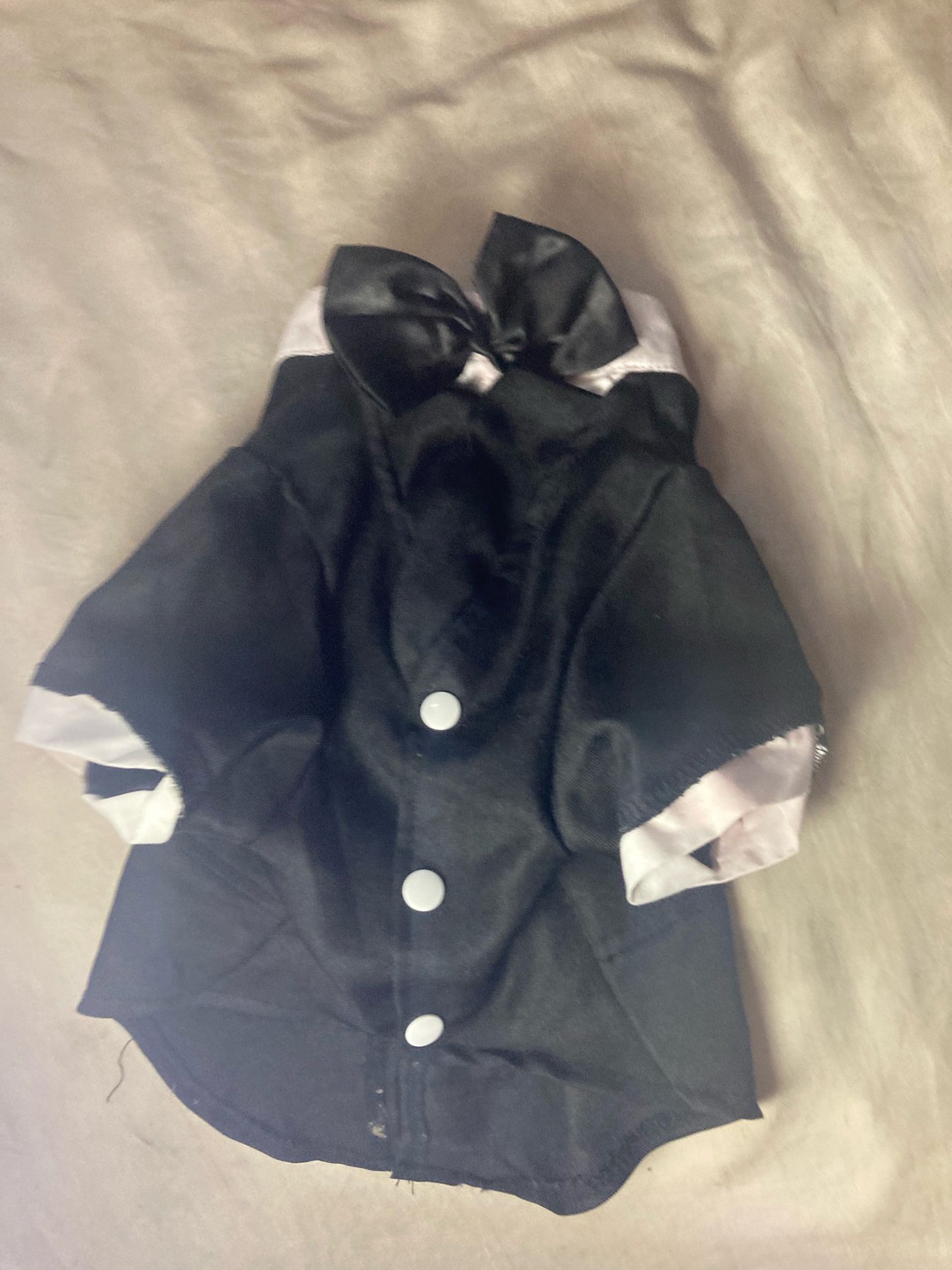 Sharp Tuxedo for Small Pupper