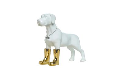 Dog With Gold Boots