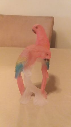Pair of macaws