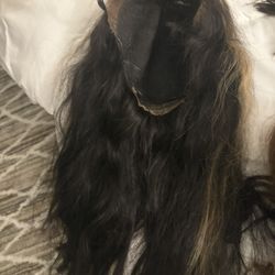 Blonde/black Refurbished Wig 