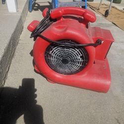 Carpet blower