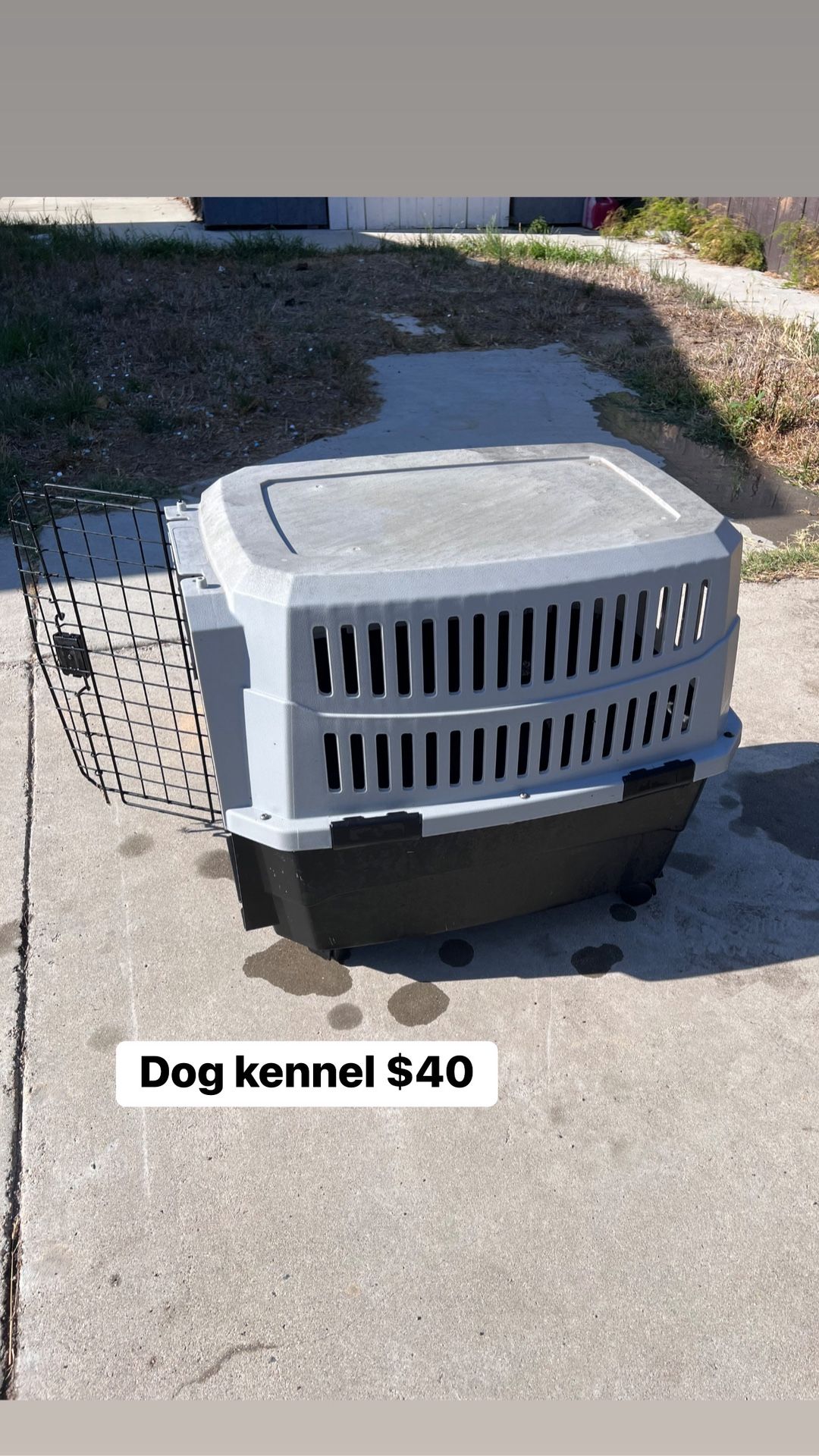 Dog Kennel