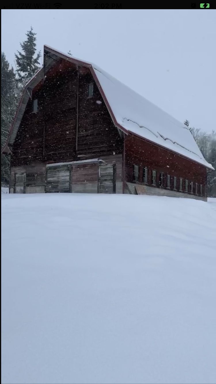 Barn Lumber, Cattle Stanchion