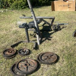 Weight Bench With Weights