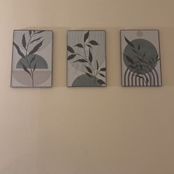 Framed canvas prints