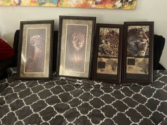 Animal frames