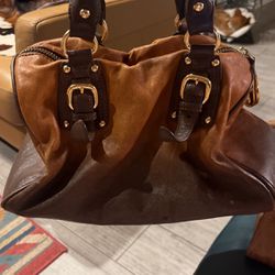 Steve Madden Bag