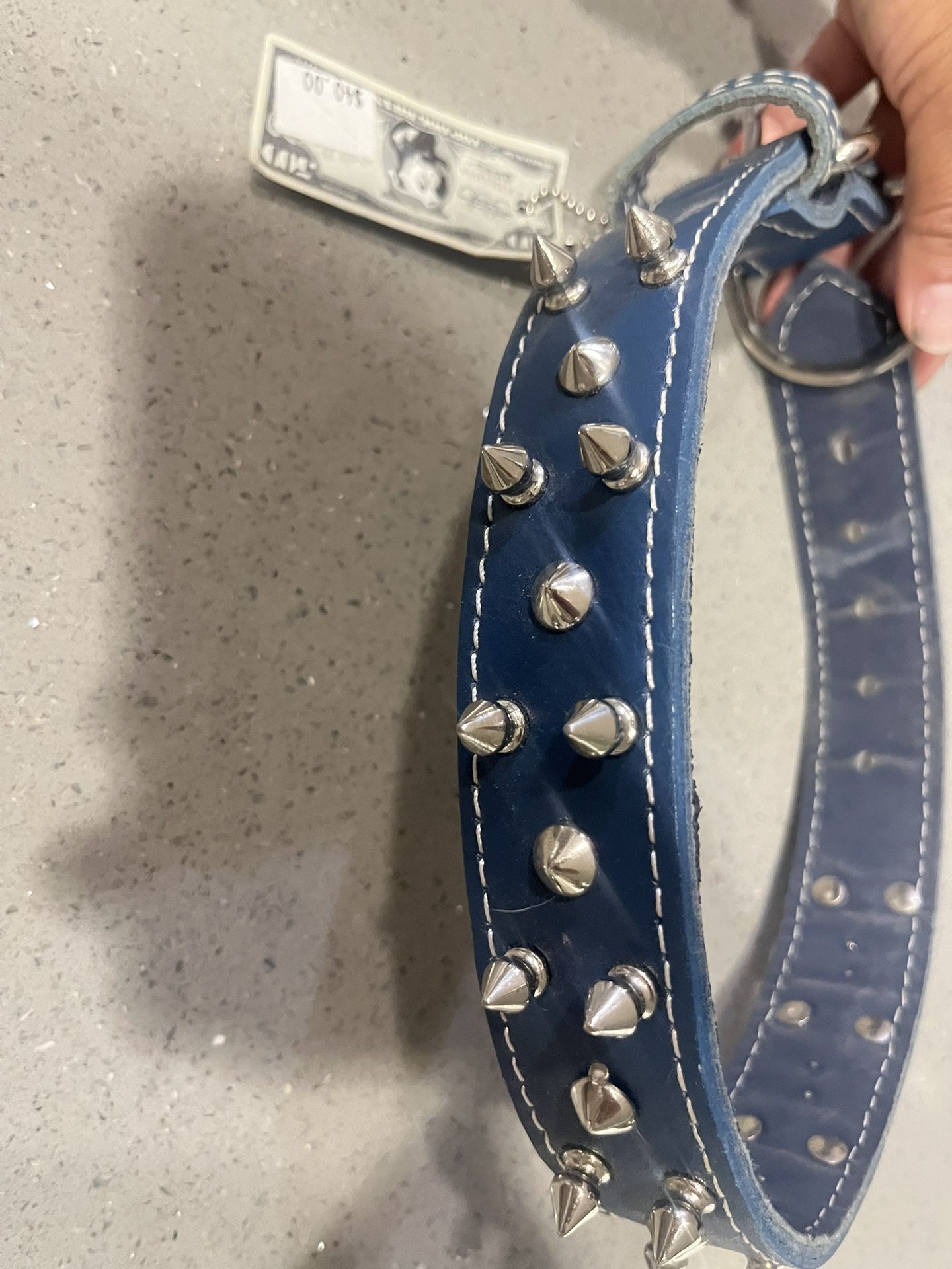 Large Leather Collar