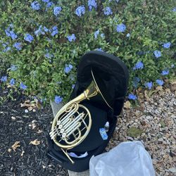 Gorgeous $450 • Single French Horn. New 
