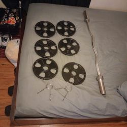 Curl Bar With Bar 2 Springs And 6 10 Lbs Wights 
