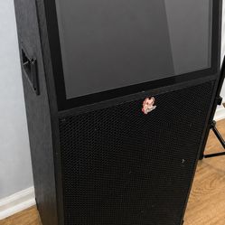 iPhoenix Bluetooth Speaker with Karaoke Microphone Inputs $180 🔊
