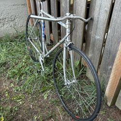 Fixed Gear Velo Track Campagnolo Fixie Vintage Road Bike Alan Italian 53cm 