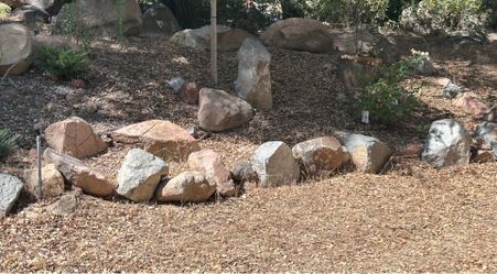 Pick your own rocks $10, $20, $30, $50