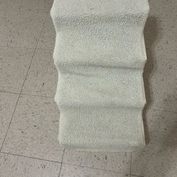 Small dog steps