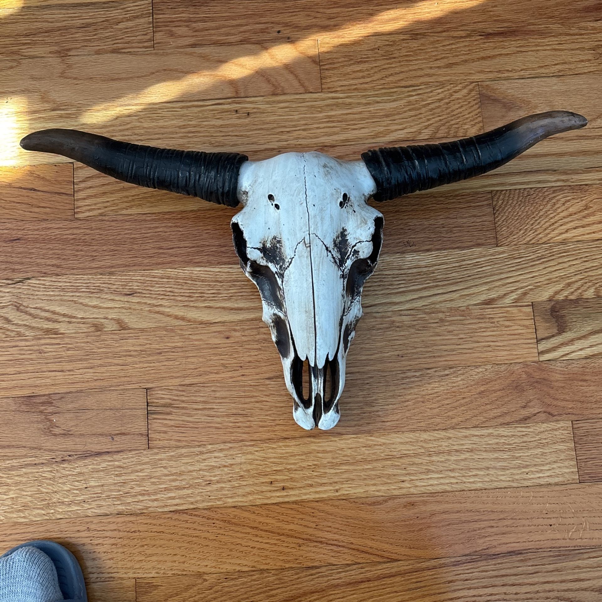 Bull skull decor